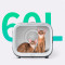 Розумна сушарка для домашніх тварин PETKIT AirSalon Max (PD10)