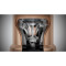 Пылесос GORENJE SVC259441NFGO (747438)