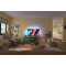Телевизор PHILIPS 65" QD-MiniLED 4K 65MLED920/12