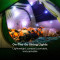 Фонарь-гирлянда BIOLITE Solar String Lights 18' Color (SSA0102)