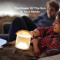 Фонарь кемпинговый BIOLITE Luci Original Matte (LCA0101)