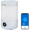 Зволожувач повітря LEVOIT Smart Humidifier Dual 200S (HEAPHULVSEU0035A)