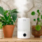 Зволожувач повітря LEVOIT Smart Humidifier Dual 200S (HEAPHULVSEU0035A)