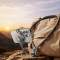 Тримач для смартфона RTAKO NH01-M MagSafe Magnetic Neck-Mounted Phone Holder