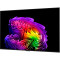 Телевизор LG 55" OLED 4K OLED55G64LW