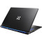Ноутбук DREAM MACHINES RT5060-17 Black (RT5060-17UA28)