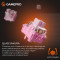 Клавиатура GAMEPRO MK130 V2 Infinity QLAB Sakura Switch Black