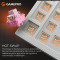 Клавиатура GAMEPRO MK160 V2 Warden QLAB Sakura Switch White