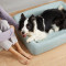 Лежак для животных PETKIT Four Season Pet Bed L Blue (P7110 L)