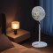 Вентилятор напольный JIPIN Smart Fan Touch Edition