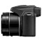 Фотоапарат PANASONIC Lumix DC-FZ82 3.58-215mm f/2.8-5.9 (DC-FZ82EE-K)
