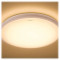 Світильник PHILIPS 31816/61/66 Ceiling LED White 20W 2700K (915004488701)