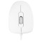 Мышь MODECOM MC-M10 White (M-MC-0M10-200)