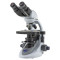 Микроскоп OPTIKA B-292PL 40-1000x Bino