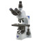 Микроскоп OPTIKA B-383PLi 40-1000x Trino