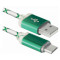 Кабель DEFENDER USB08-03LT USB2.0 AM/Micro-BM Green 1м (87557)