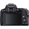 Фотоаппарат CANON EOS 250D Kit Black EF-S 18-55mm f/3.5-5.6 III (3454C009)