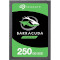 SSD диск SEAGATE BarraCuda 250GB 2.5" SATA (ZA250CM1A002)