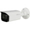 IP-камера DAHUA DH-IPC-HFW4431TP-S-S4 (3.6)