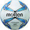 М'яч для футзалу MOLTEN F9V1900 Size 4