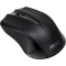 Миша ACER 2.4G Wireless Black (NP.MCE11.00T)