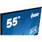 Интерактивный дисплей 55" IIYAMA ProLite TE5503MIS-B1AG 4K UHD