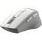 Мышь A4TECH Fstyler FG30S Gray/White