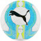 Мяч футбольный PUMA Evo Power Lite Size 5 White (82558-01-5)