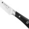 Набор кухонных ножей POLARIS Solid-3SS 3пр