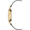 Годинник ANNE KLEIN Swarovski Crystal Accented Mesh Bracelet Gold/Black (AK3001BKBK)