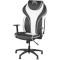 Кресло геймерское BARSKY Sportdrive Synchro Black/White (BSDSYN-04)