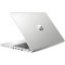 Ноутбук HP ProBook 445 G7 Silver (1F3Q6EA)