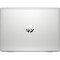 Ноутбук HP ProBook 445 G7 Silver (1F3K6EA)