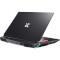 Ноутбук DREAM MACHINES RX2060-17 Black (RX2060-17UA34)