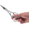 Кухонні ножиці VICTORINOX Professional 195мм (7.6376)