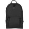 Рюкзак VICTORINOX Altmont Classic Laptop Backpack Black (602644)