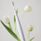 Електрична зубна щітка OCLEAN Air 2 White Tulip
