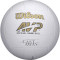 Мяч волейбольный WILSON Mr. Wilson Cast Away Size 5 AVP Official (WTH4615XDEF)