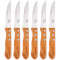 Набір кухонних ножів BERLINGER HAUS Wild Jack 6пр (BH-2106)