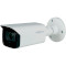 IP-камера DAHUA DH-IPC-HFW5442TP-ASE (3.6)
