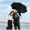 Зонт XIAOMI PINLO Automatic Umbrella Black (PLZDS04XM)