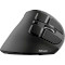 Вертикальная мышь TRUST Voxx Ergonomic Rechargeable Wireless Black (23731)