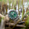 Часы LUMINOX Pacific Diver 3137 Series Green/Silver (XS.3137)