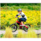 Велосипед дитячий NINEBOT BY SEGWAY Kids Bike 18" Red (KIDS BIKE 18'' RED)