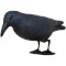 Фігурка крука для відлякування птахів SPRINGOS GA0132