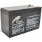 Акумуляторна батарея RITAR LiFePO4 R-LFP 12.8V 9Ah (12.8В, 9Агод, BMS)