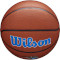 М'яч баскетбольний WILSON NBA Team Alliance Orlando Magic Size 7 (WTB3100XBORL)