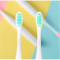 Насадка для зубной щётки OCLEAN P1S4 White/Blue 2шт (6970810550542)