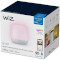 Розумний світильник WIZ BLE Portable Hero Wi-Fi White