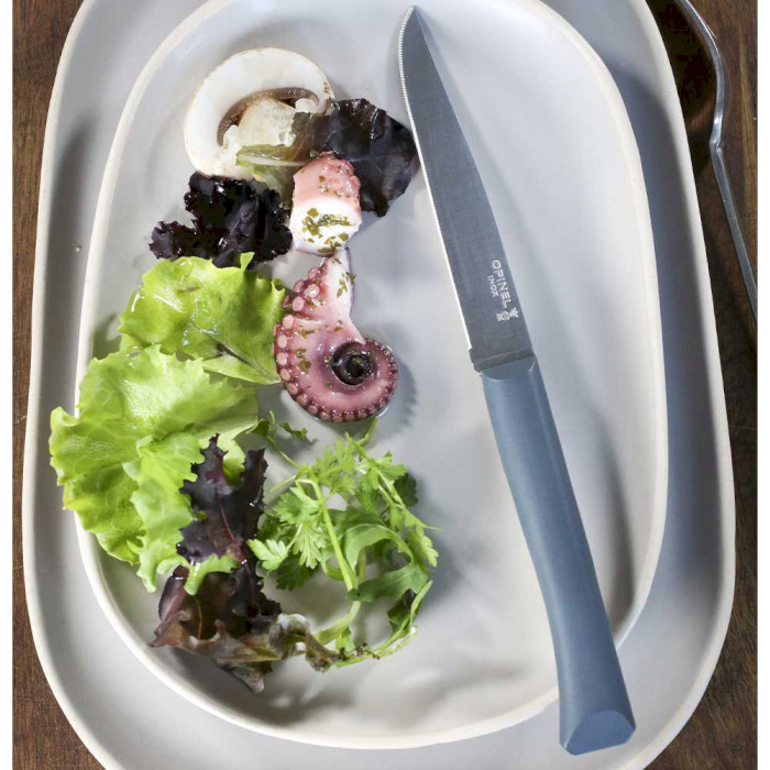 Нож кухонный для тонкой нарезки OPINEL Bon Appetit Plus Antrazit 110мм (001903)